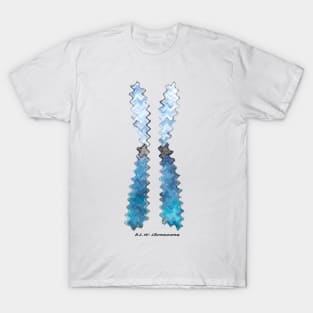 B L W Chromosome T-Shirt